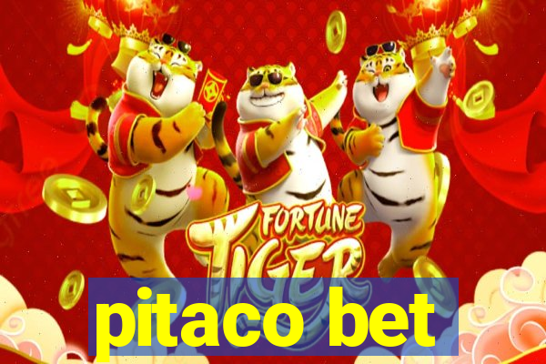 pitaco bet